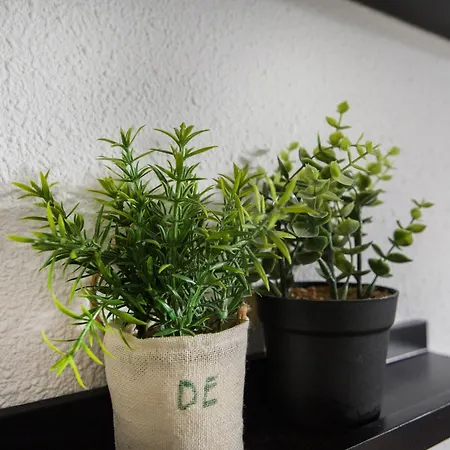 بيت للعطل 6 - Persoons Lakeside 61 *