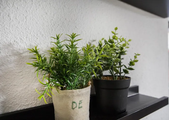 بيت للعطل 6 - Persoons Lakeside 61 *